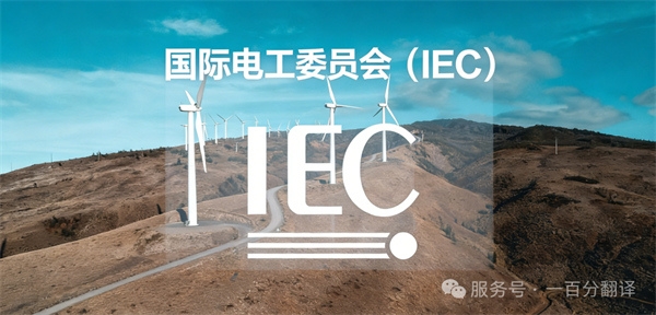 中外標(biāo)準(zhǔn)咨詢服務(wù)